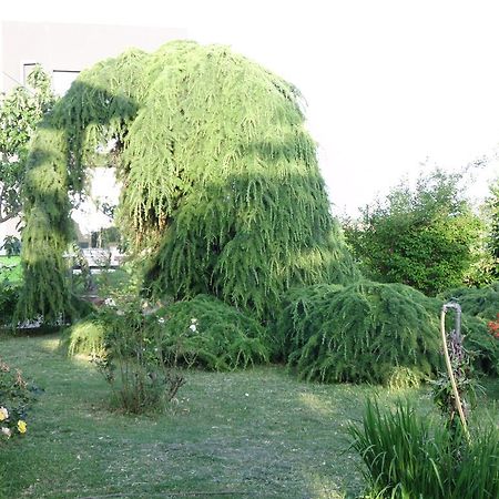 Apartments Ribic Umag Quarto foto